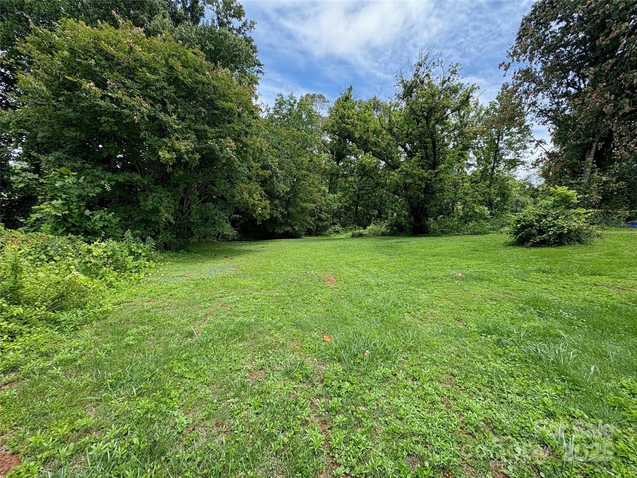 78 Moffitt Hill Church Road Old Fort, NC 28762 - Photo 17 of 37 a view of a green field with plants in the background