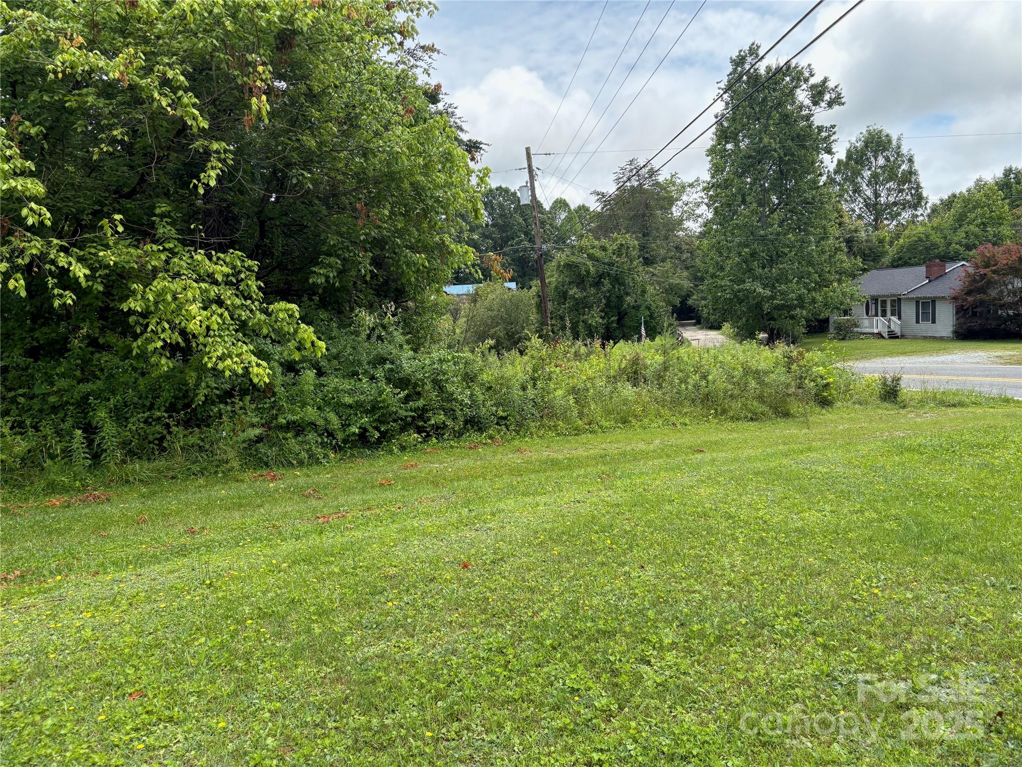 78 Moffitt Hill Church Road Old Fort, NC 28762 - Photo 20 of 37 a view of a yard with a tree