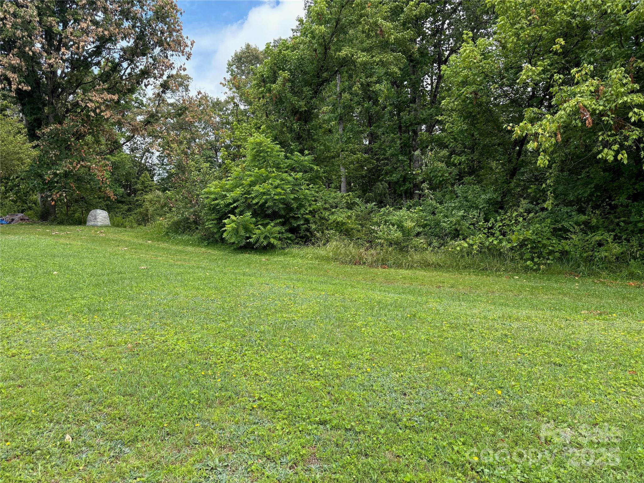 78 Moffitt Hill Church Road Old Fort, NC 28762 - Photo 6 of 37 a view of a green yard