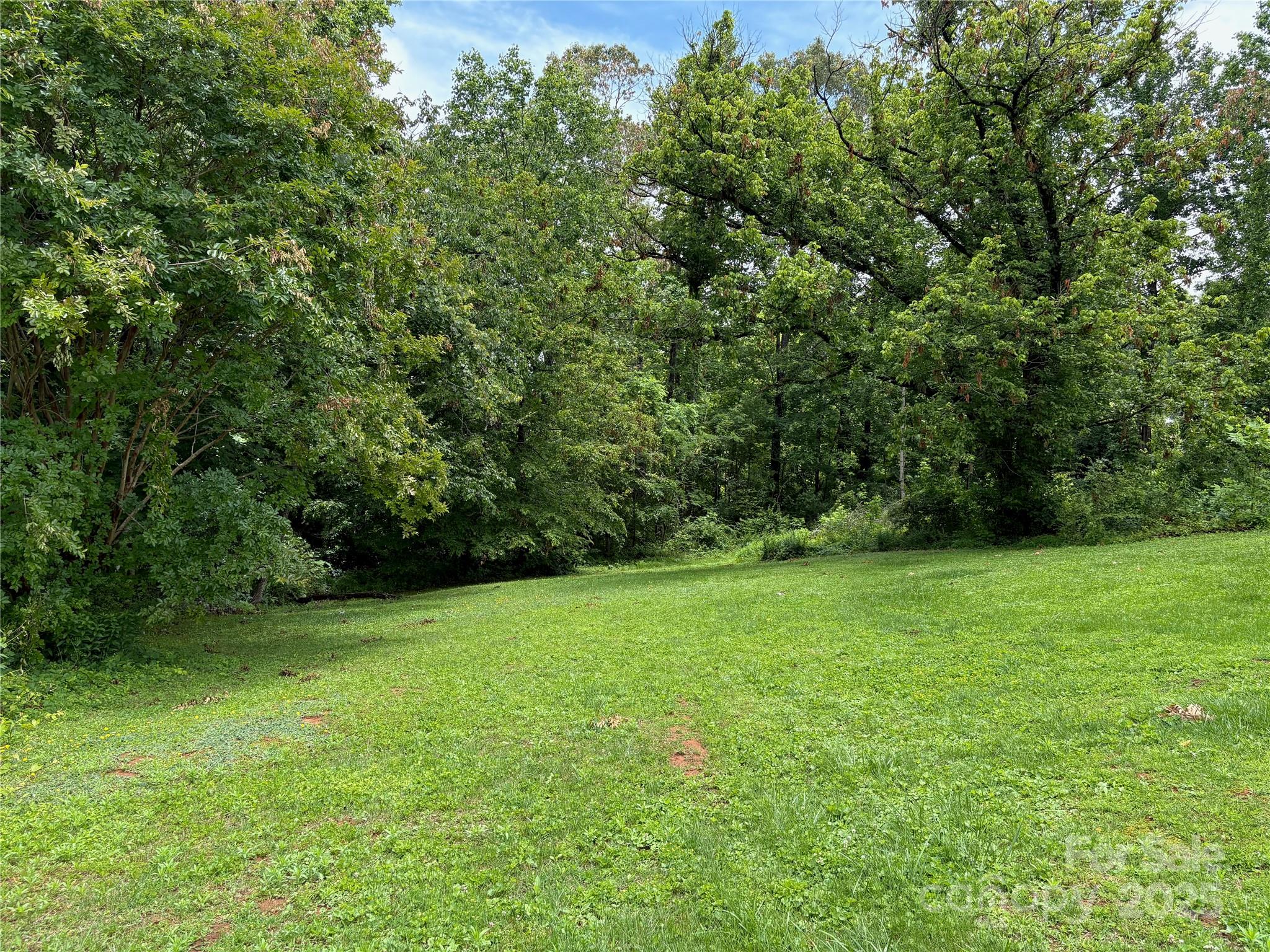 78 Moffitt Hill Church Road Old Fort, NC 28762 - Photo 7 of 37 a view of a green yard