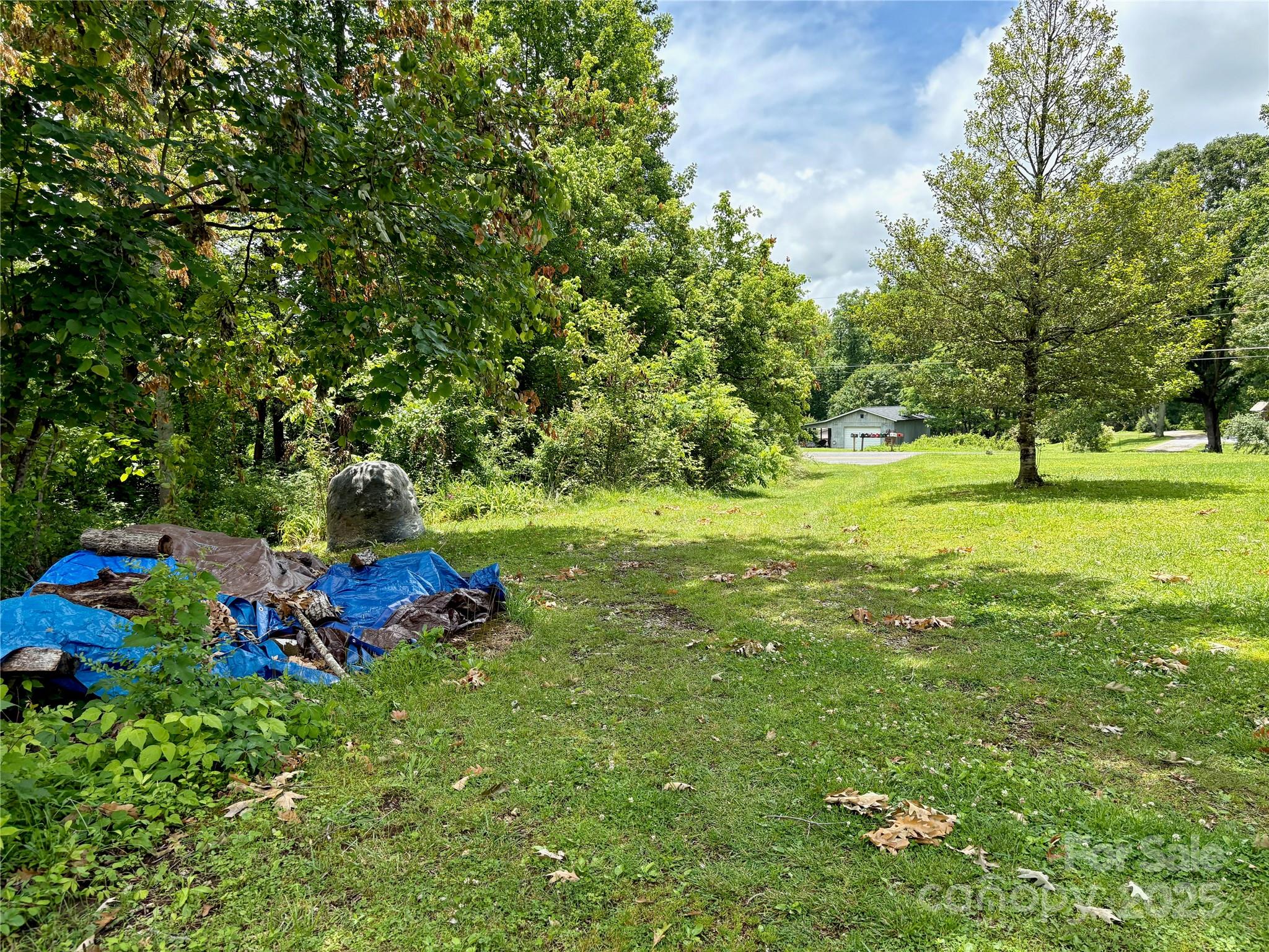 78 Moffitt Hill Church Road Old Fort, NC 28762 - Photo 10 of 37 a view of a field with of trees