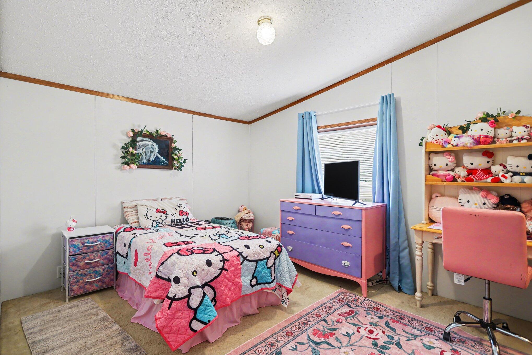 Undisclosed Address Tekonsha, MI 49092 - Photo 12 of 17 Bedroom 3