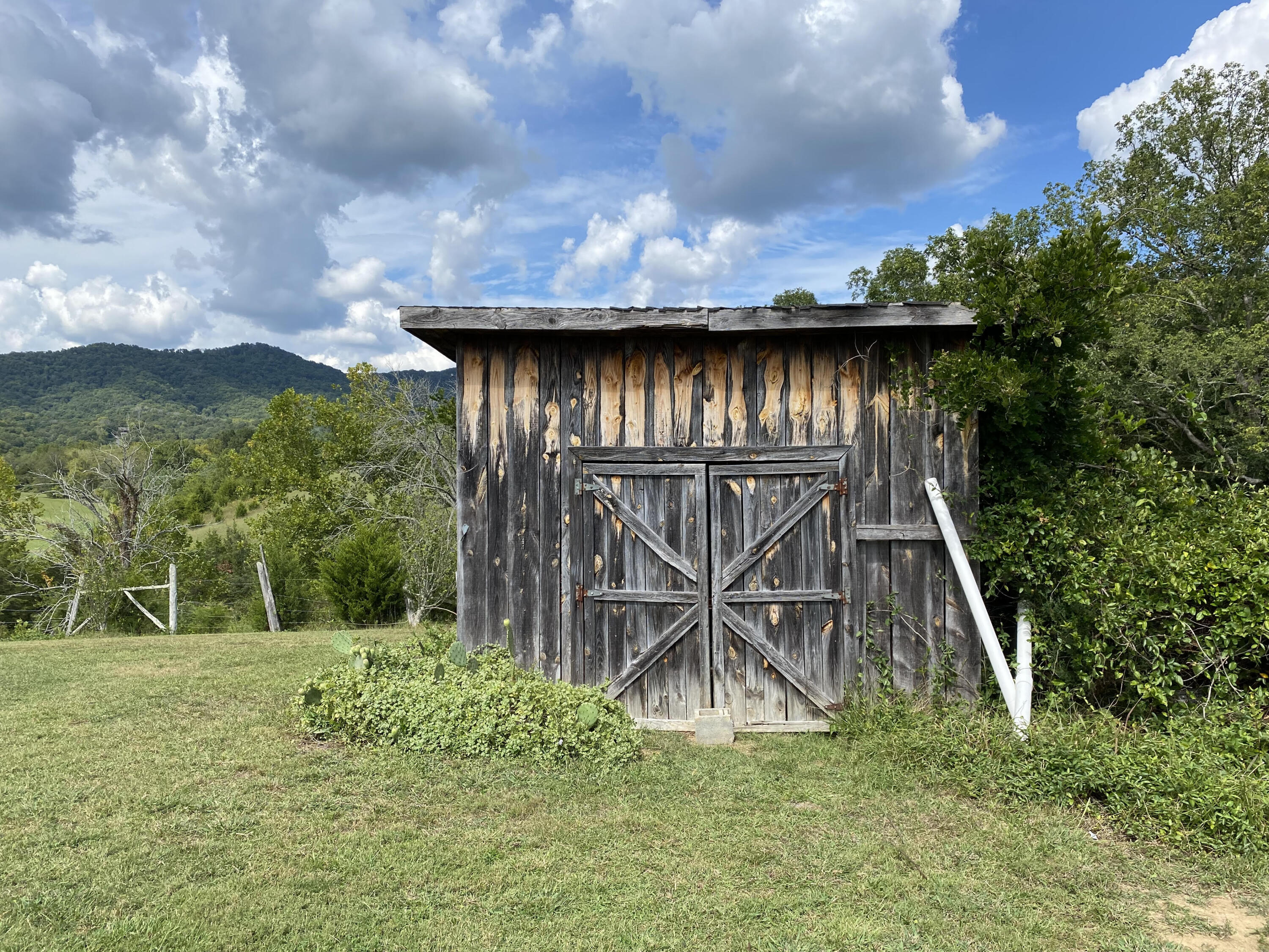 1175 Kite Road Greeneville, TN 37745 - Photo 29 of 39 Shed