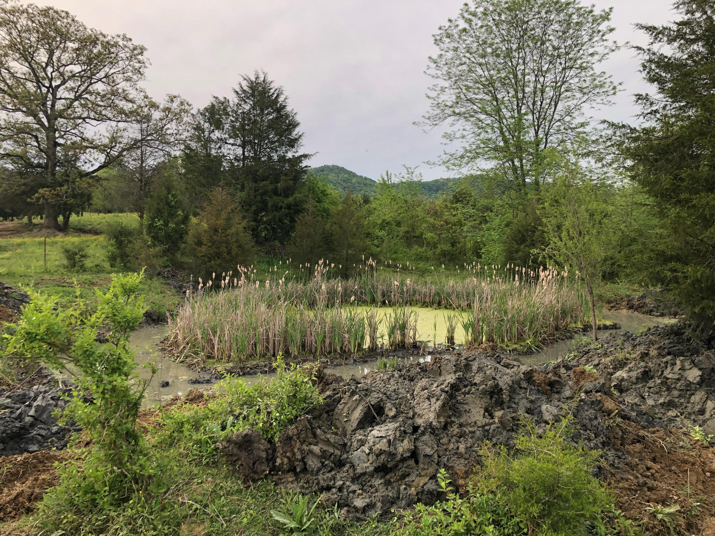 1175 Kite Road Greeneville, TN 37745 - Photo 31 of 39 Pond