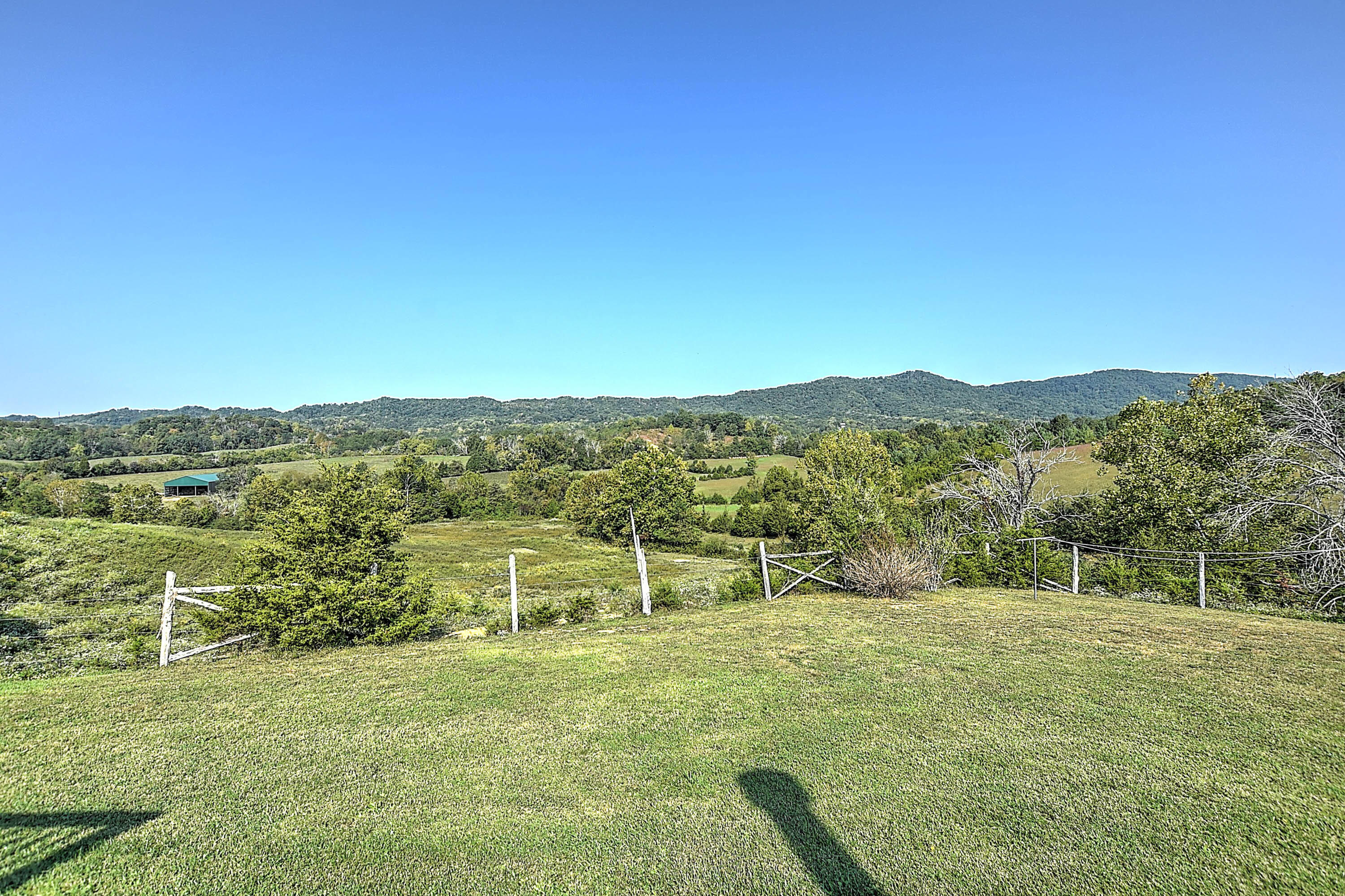 1175 Kite Road Greeneville, TN 37745 - Photo 33 of 39 View