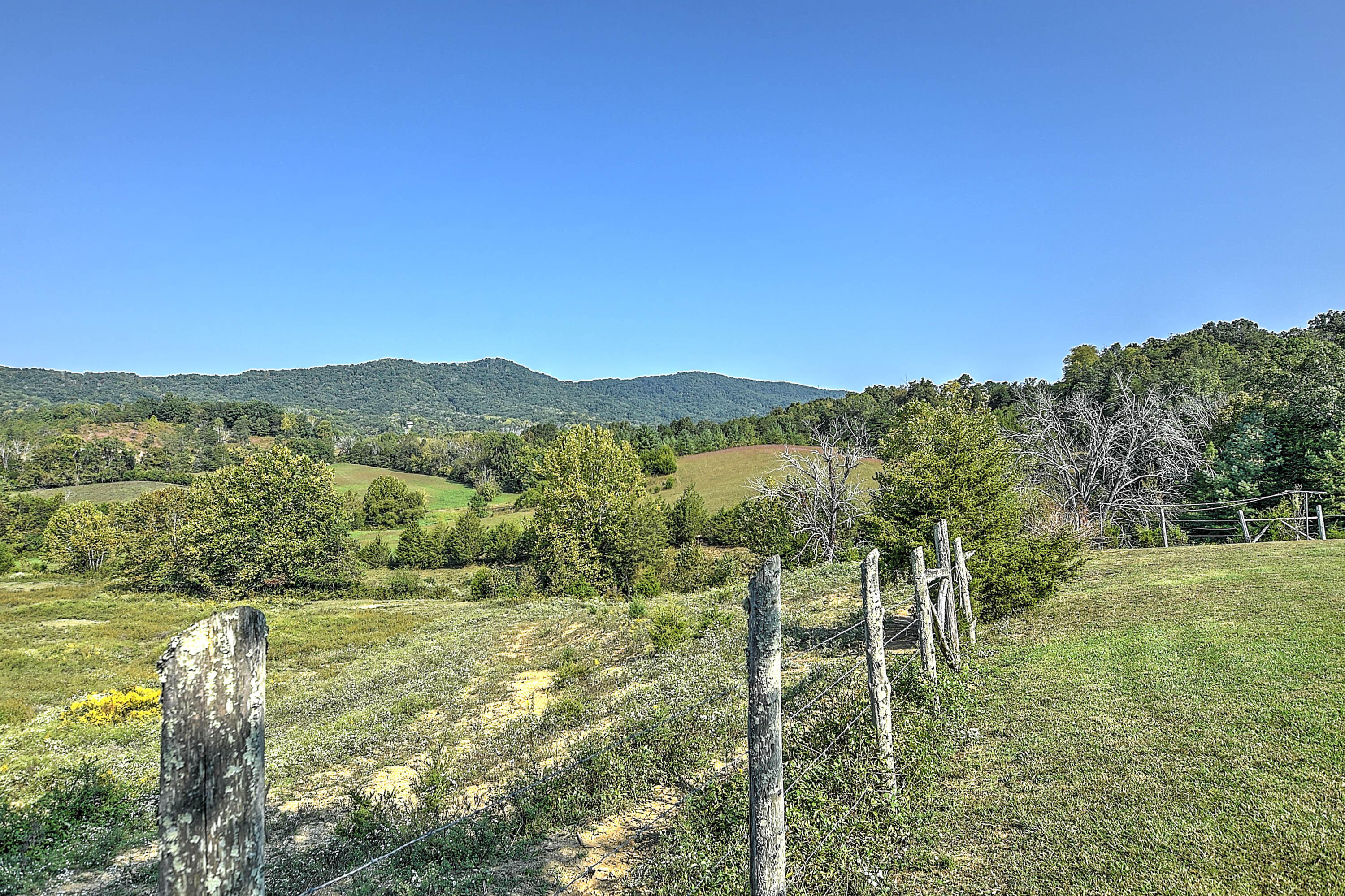 1175 Kite Road Greeneville, TN 37745 - Photo 35 of 39 View
