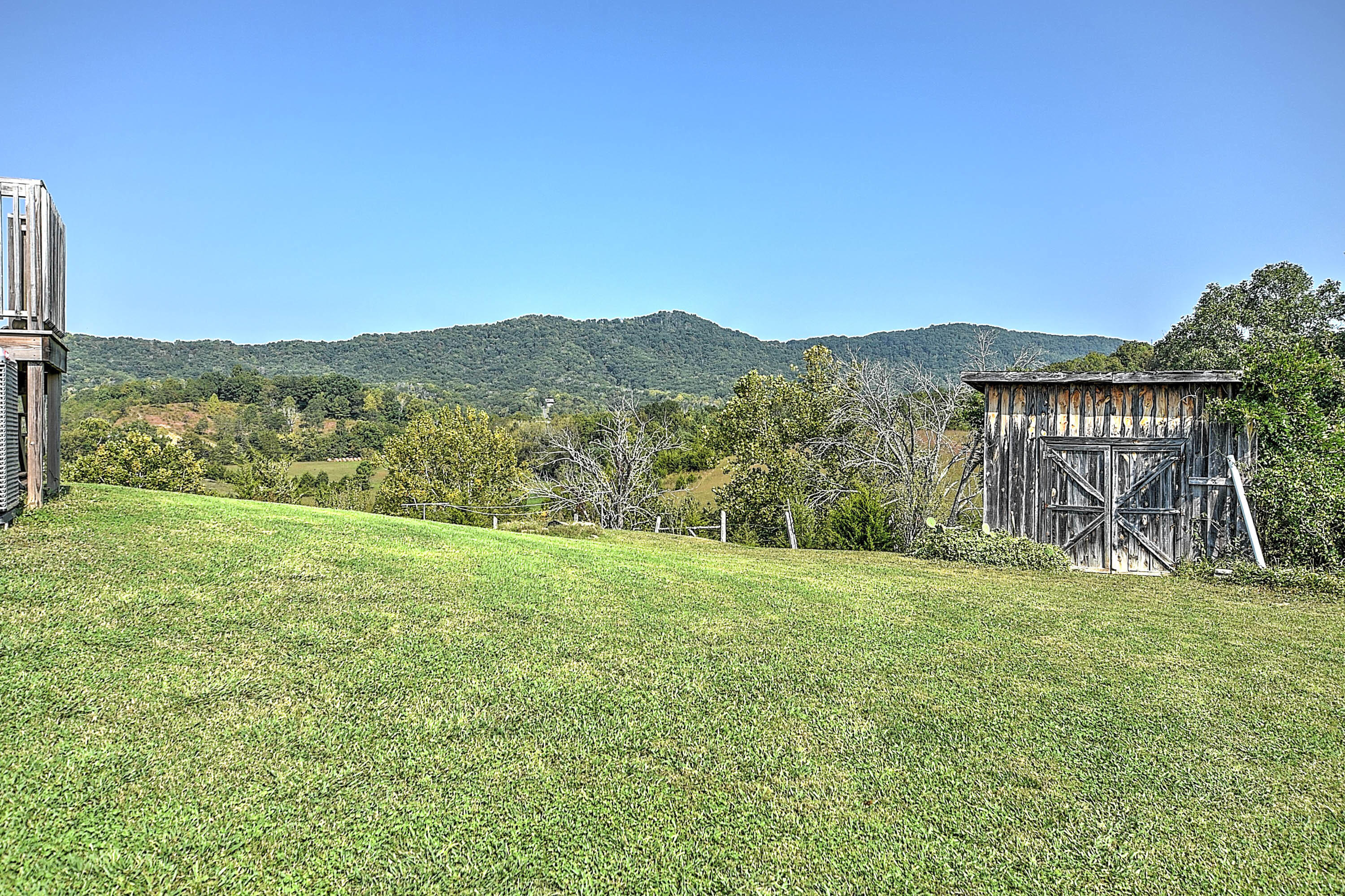 1175 Kite Road Greeneville, TN 37745 - Photo 36 of 39 Side Yard