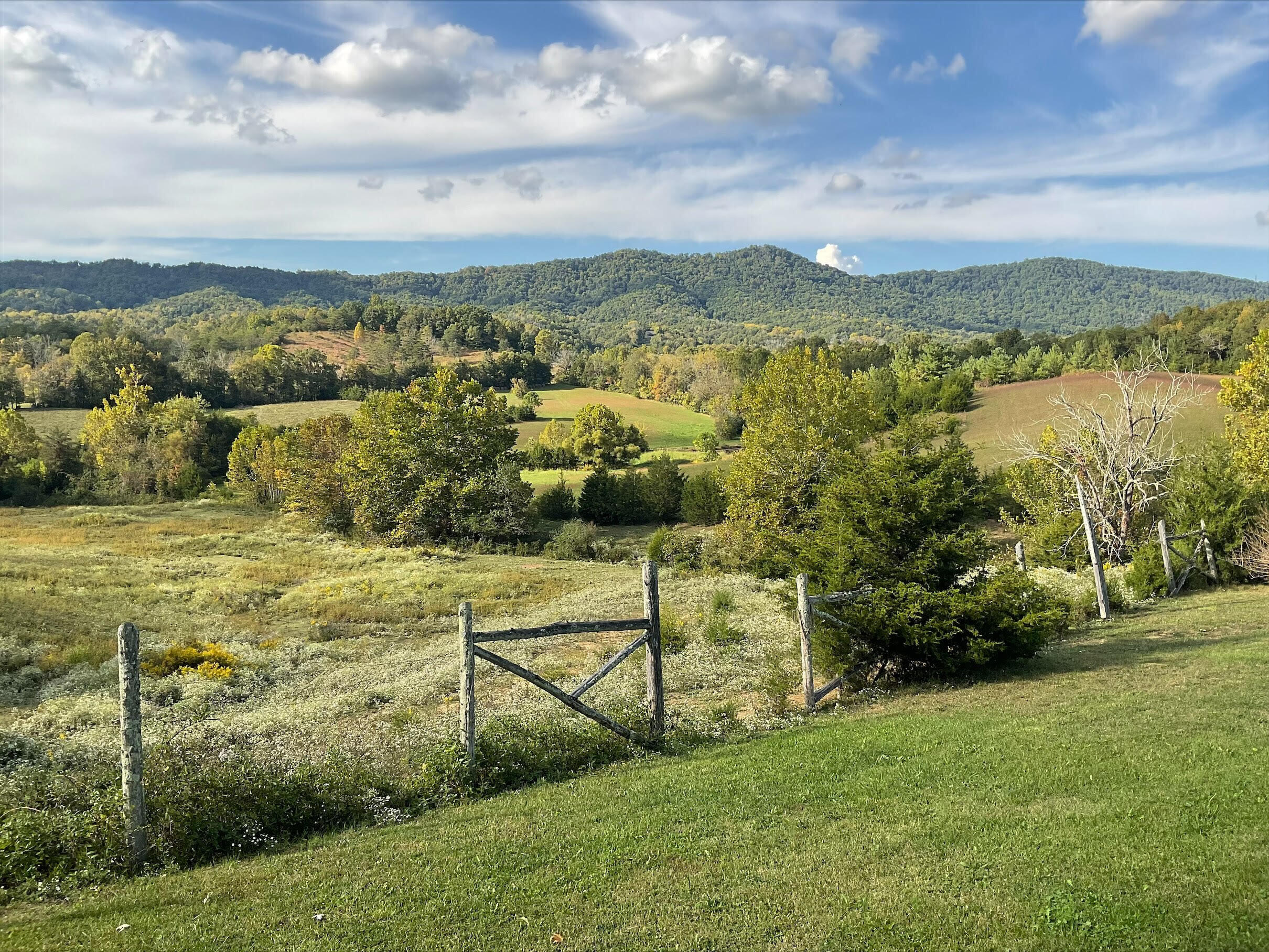 1175 Kite Road Greeneville, TN 37745 - Photo 9 of 39 Million Dollar View