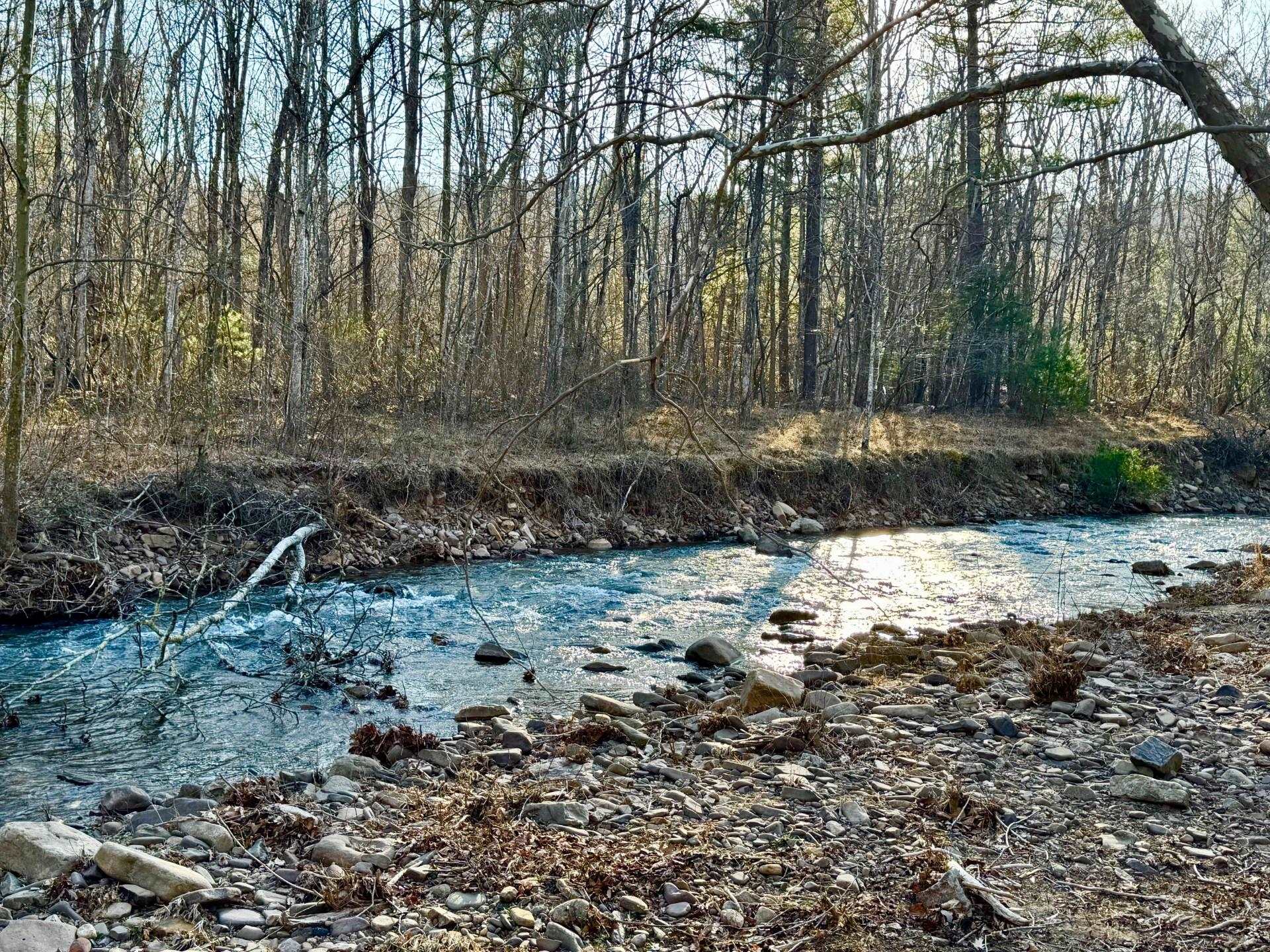8127 Briery Branch Road Dayton, VA 22821 - Photo 23 of 23 a view of a backyard with large trees