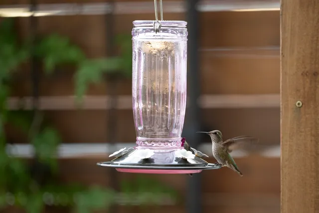 $699,000 | 6465 San Pablo Avenue, Unit 206, Oakland, CA 94608