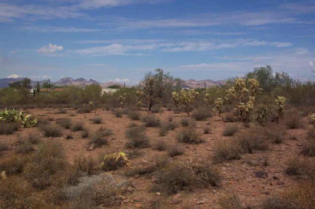 1800 South Geronimo Road Apache Junction, AZ 85119 - Photo 1 of 1 Primary Photo