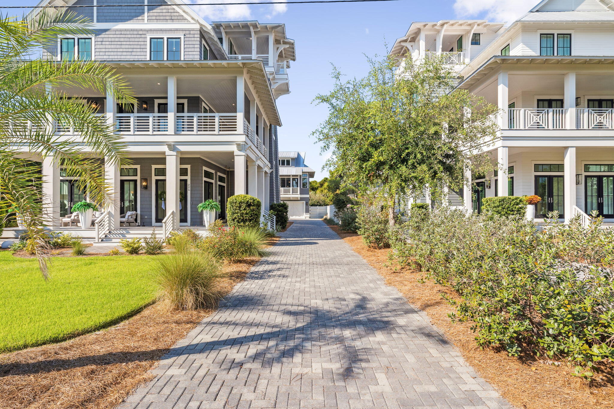 224 Walton Rose Lane Inlet Beach, FL 32461 - Photo 146 of 146 Array_224WaltonRoseLn-36