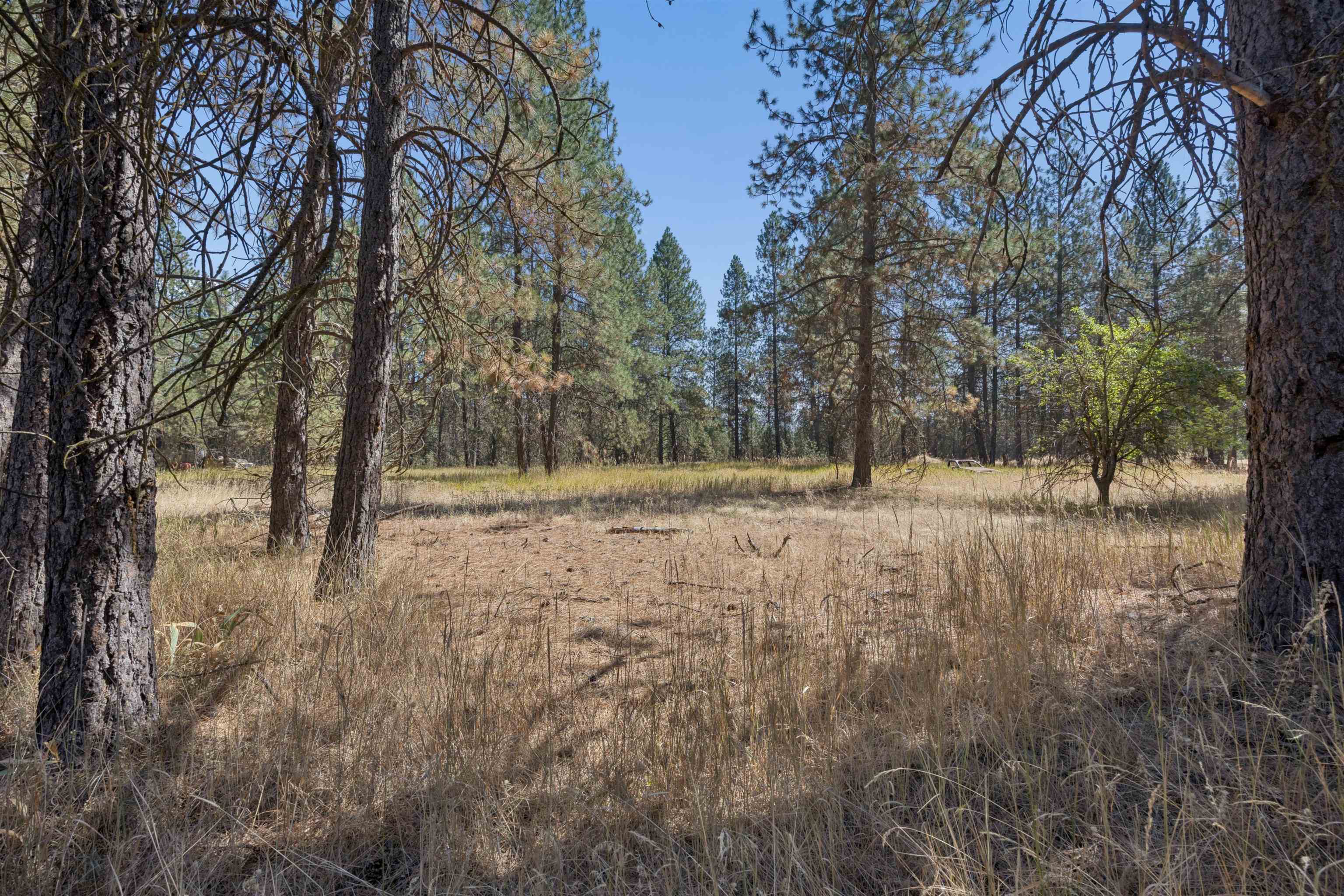 21324 North Myrtle Road Colbert, WA 99005 - Photo 10 of 45 Gallery Image 10