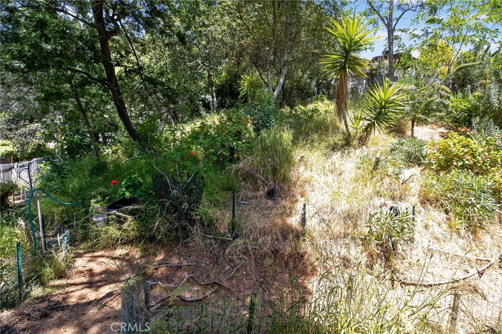 6561 Tokay Road Tujunga, CA 91042 - Photo 30 of 30
