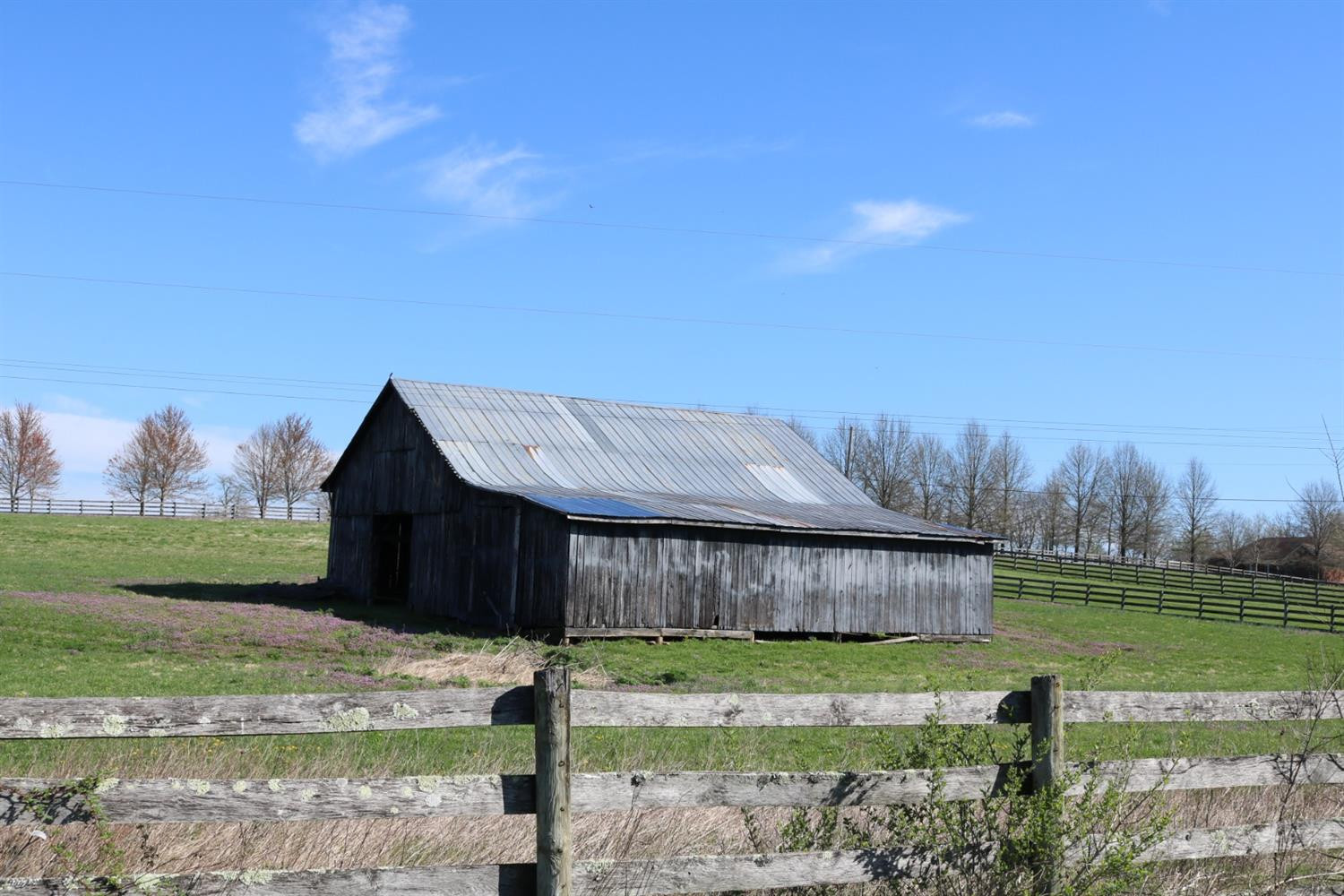 402 Duvall Station Road Georgetown, KY 40324 - Photo 9 of 10 Photo 9