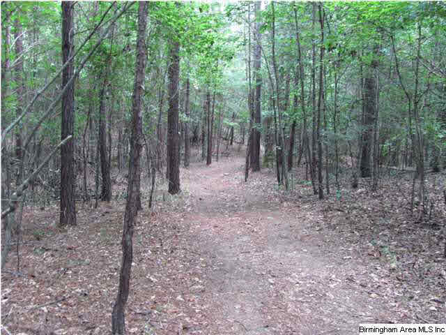 100 Cahaba Oaks Trail Pelham, AL 35124 - Photo 23 of 24