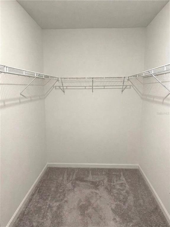 34780 Rainville Loop Zephyrhills, FL 33541 - Photo 17 of 30 a view of a room with racks on the wall