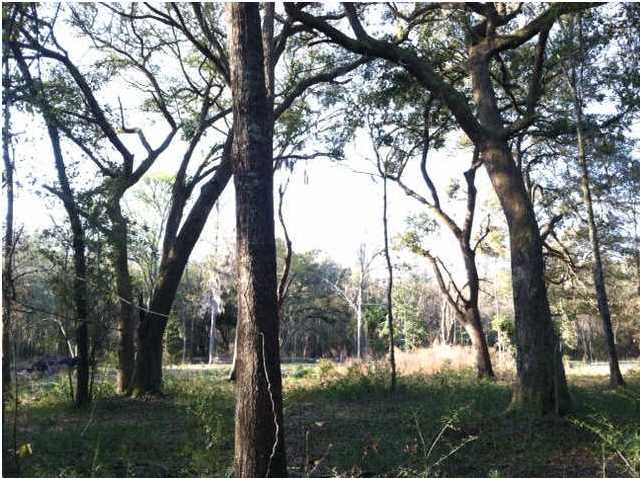 8208 Red House Road Edisto Island, SC 29438 - Photo 1 of 1 Primary Photo