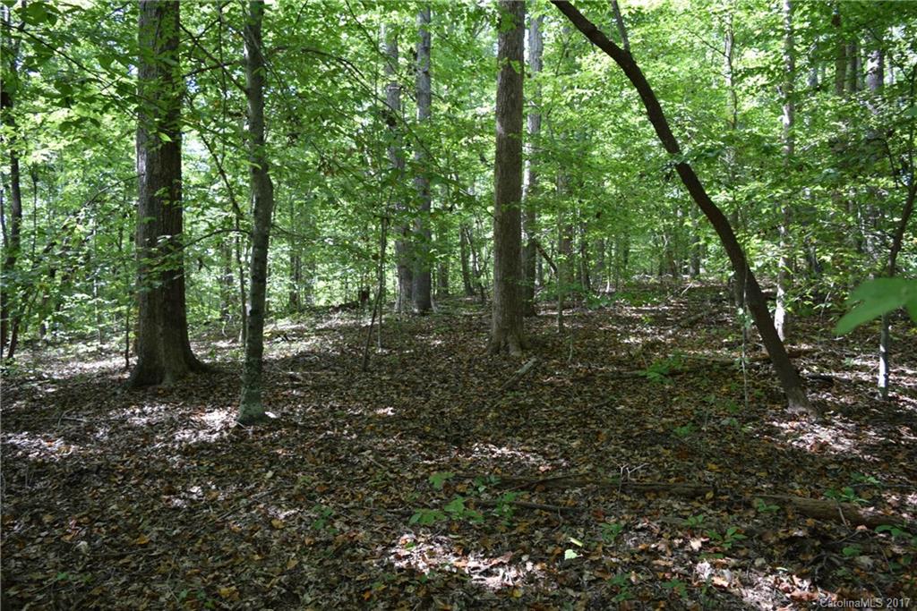 590 South Grandview Road Clover, SC 29710 - Photo 15 of 16