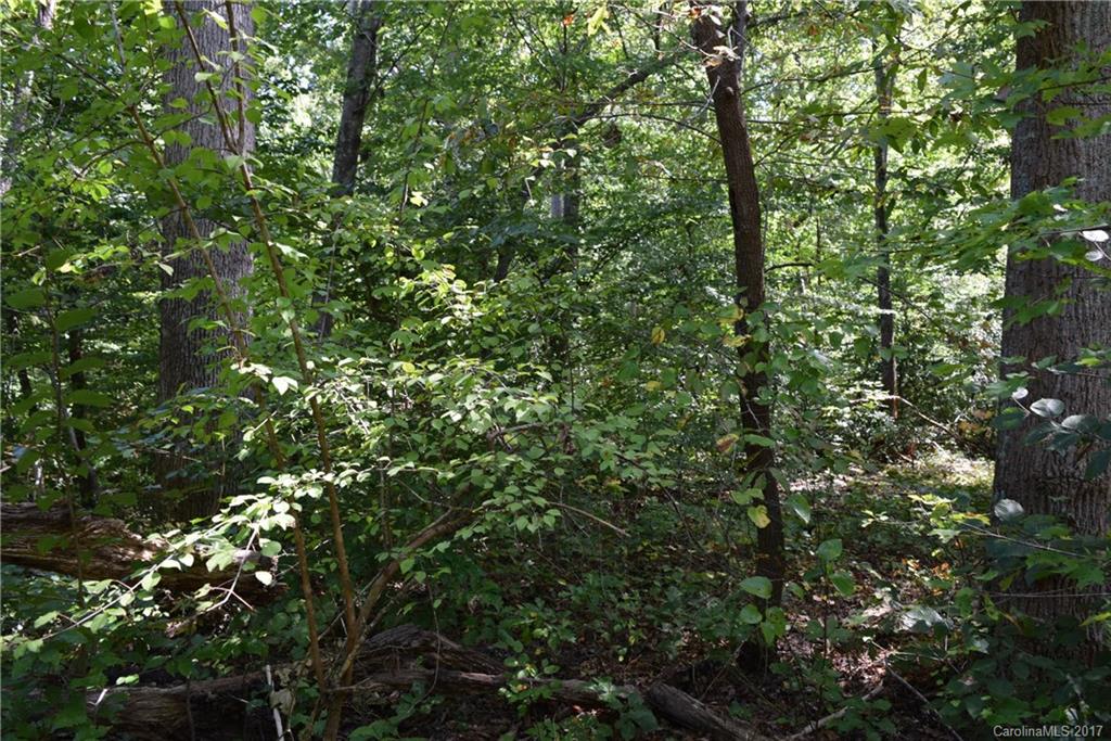 590 South Grandview Road Clover, SC 29710 - Photo 6 of 16