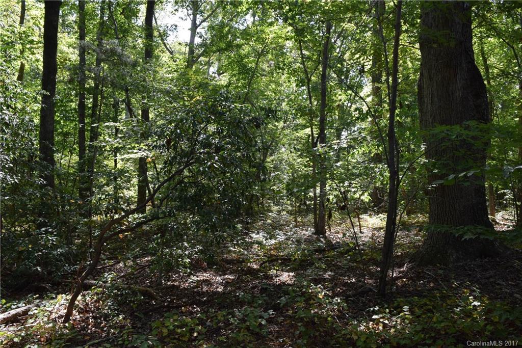 590 South Grandview Road Clover, SC 29710 - Photo 7 of 16