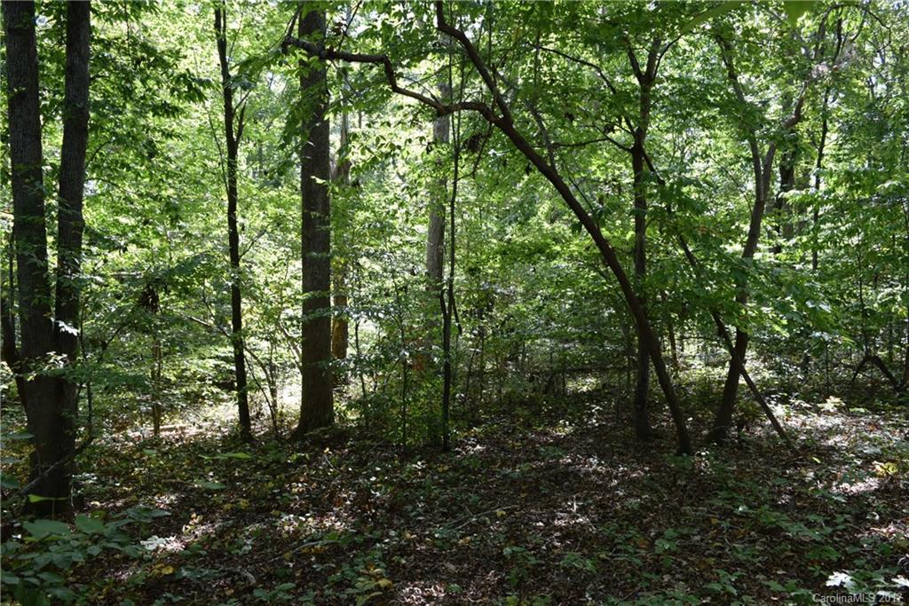 590 South Grandview Road Clover, SC 29710 - Photo 9 of 16