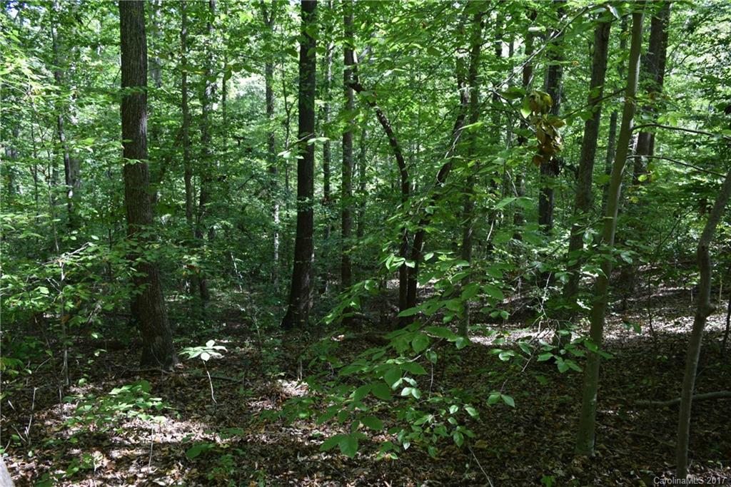 590 South Grandview Road Clover, SC 29710 - Photo 10 of 16