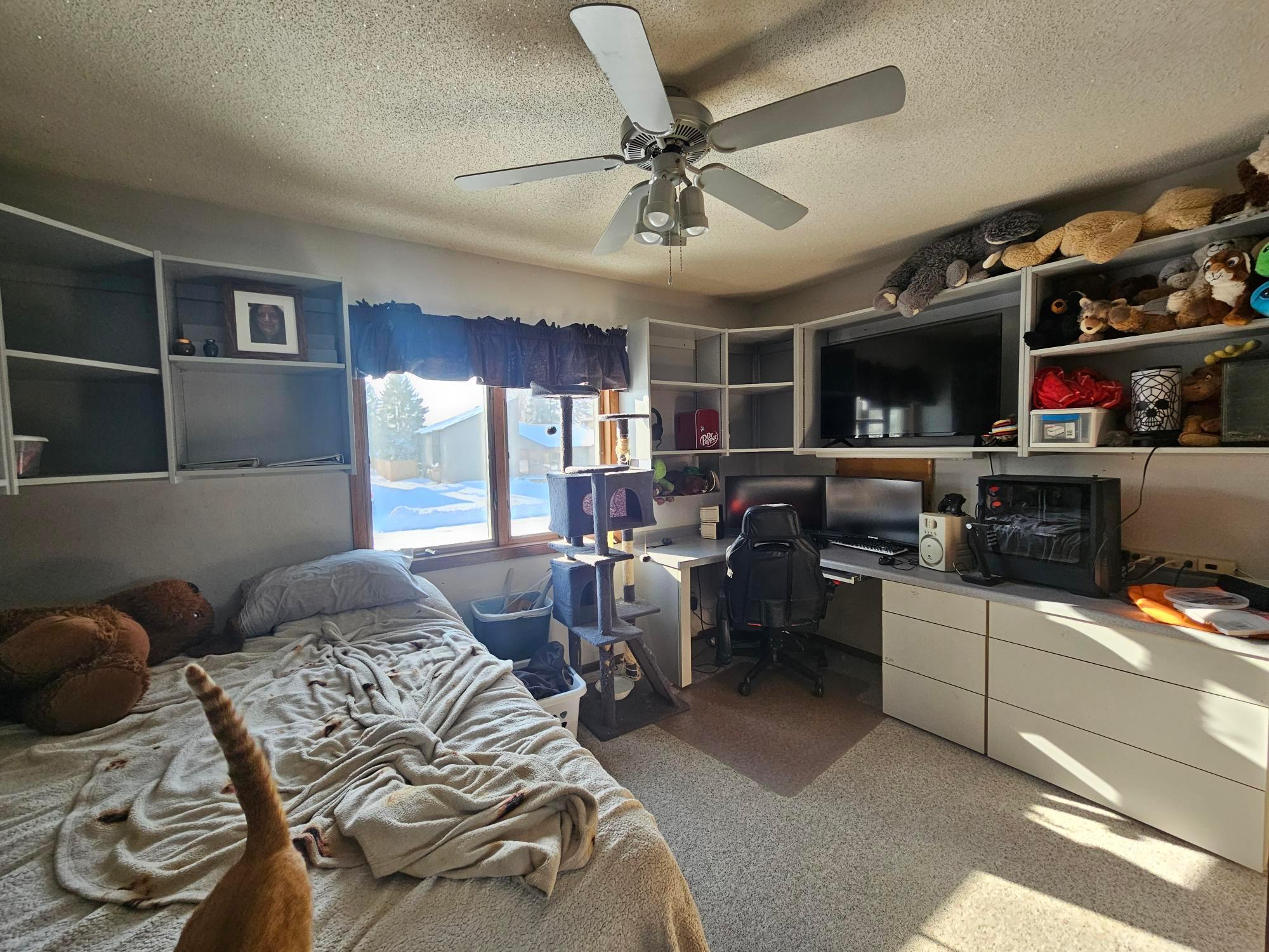 209 2nd Street Northeast Clarks Grove, MN 56016 - Photo 17 of 38