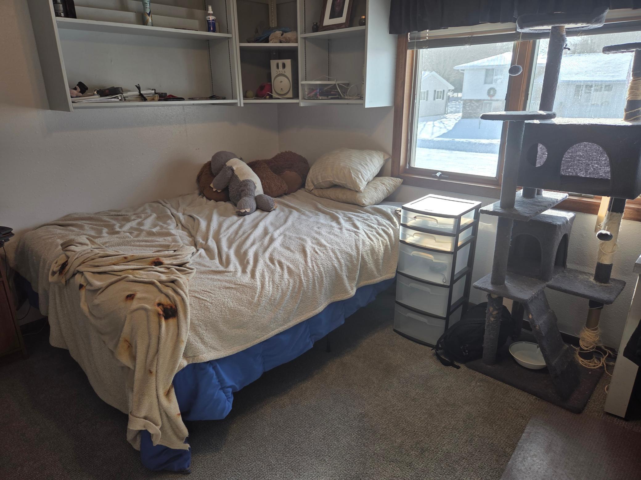 209 2nd Street Northeast Clarks Grove, MN 56016 - Photo 21 of 44