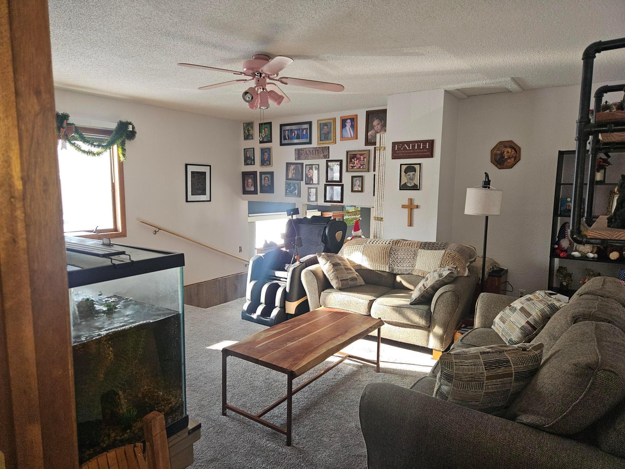 209 2nd Street Northeast Clarks Grove, MN 56016 - Photo 4 of 38