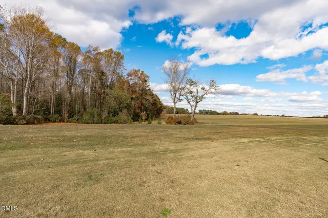 a view of a large body of water with lots of trees