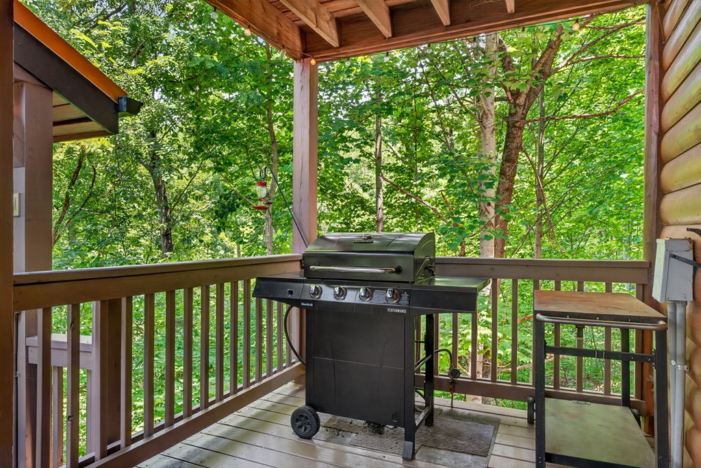 573 Weaver Creek Way Blue Ridge, GA 30513 - Photo 6 of 27