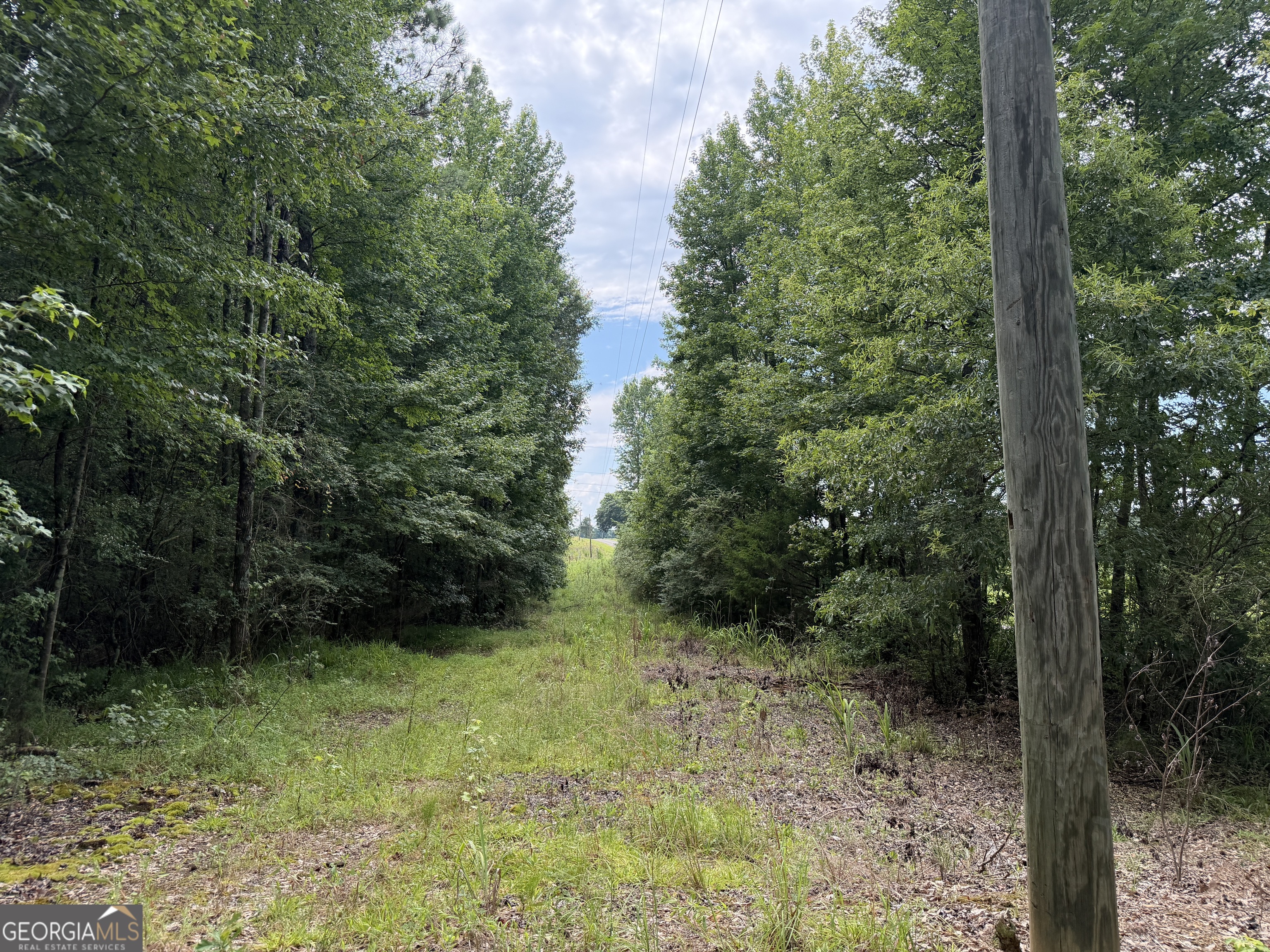 4 County Rd 445 Haleyville, AL 35565 - Photo 5 of 11
