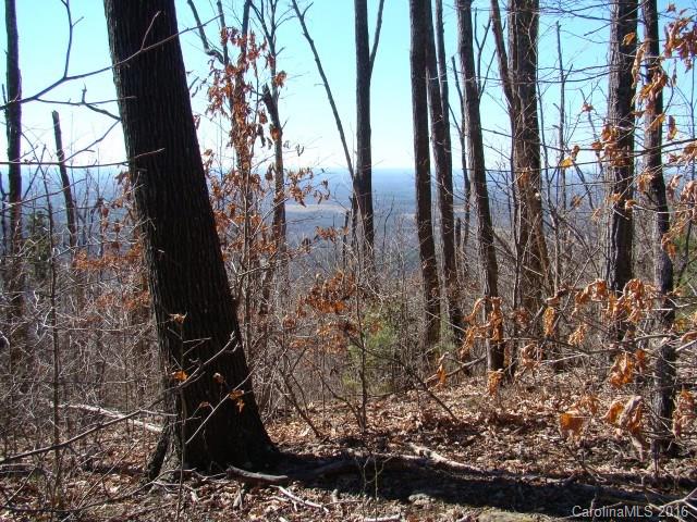 14 Arbra Mountain Road Bostic, NC 28018 - Photo 1 of 22 Gallery Image 1