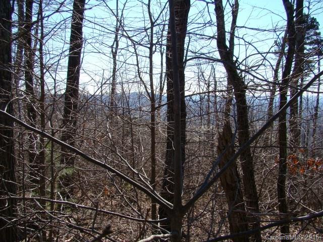 14 Arbra Mountain Road Bostic, NC 28018 - Photo 2 of 22 Gallery Image 2