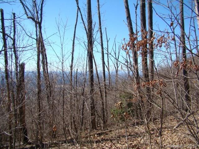 14 Arbra Mountain Road Bostic, NC 28018 - Photo 11 of 22 Gallery Image 11