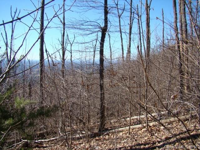 14 Arbra Mountain Road Bostic, NC 28018 - Photo 12 of 22 Gallery Image 12