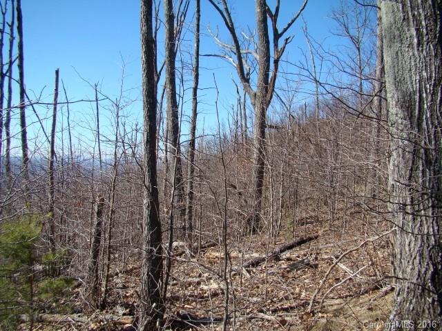 14 Arbra Mountain Road Bostic, NC 28018 - Photo 13 of 22 Gallery Image 13