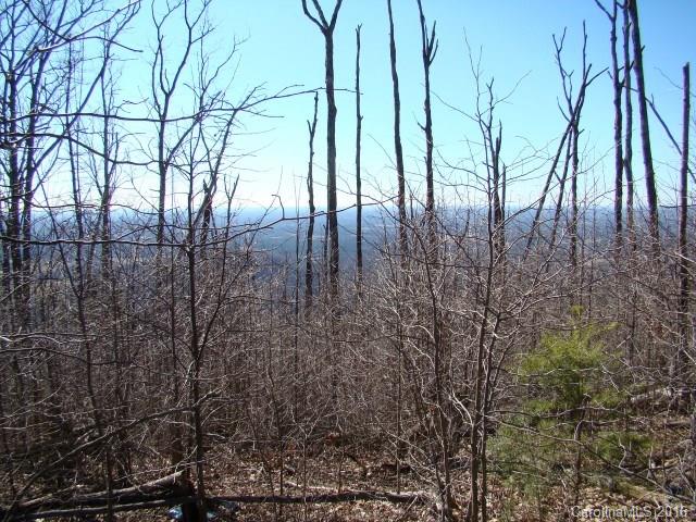 14 Arbra Mountain Road Bostic, NC 28018 - Photo 15 of 22 Gallery Image 15