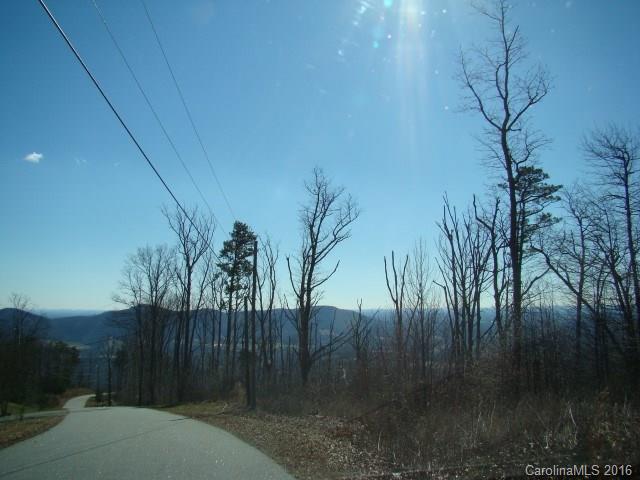 14 Arbra Mountain Road Bostic, NC 28018 - Photo 17 of 22 Gallery Image 17