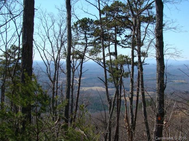 14 Arbra Mountain Road Bostic, NC 28018 - Photo 20 of 22 Gallery Image 20