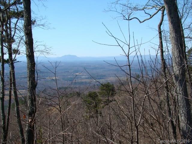 14 Arbra Mountain Road Bostic, NC 28018 - Photo 21 of 22 Gallery Image 21