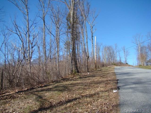 14 Arbra Mountain Road Bostic, NC 28018 - Photo 8 of 22 Gallery Image 8