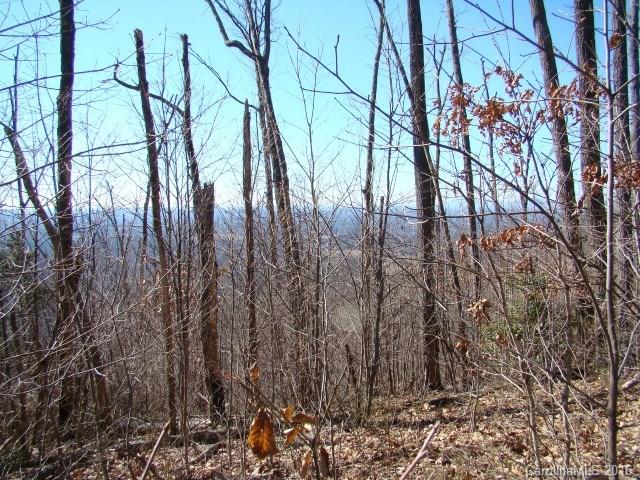 14 Arbra Mountain Road Bostic, NC 28018 - Photo 9 of 22 Gallery Image 9