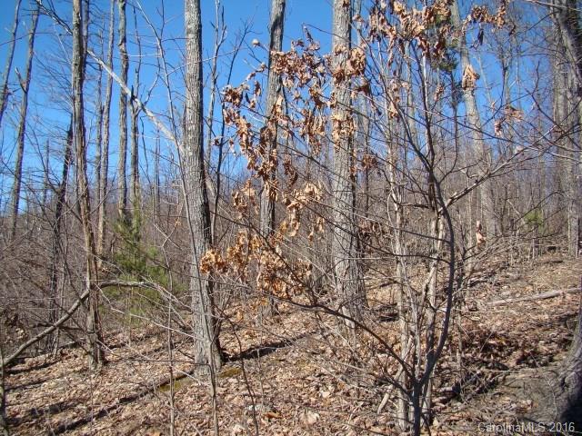 14 Arbra Mountain Road Bostic, NC 28018 - Photo 10 of 22 Gallery Image 10