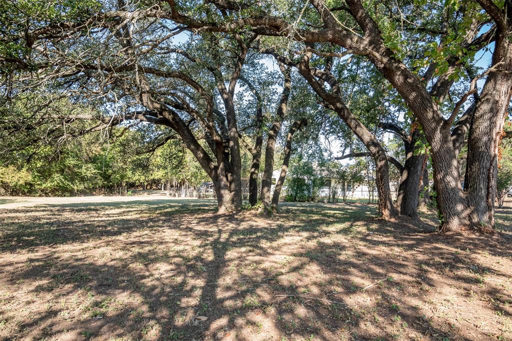 210 Davis Road Granbury, TX 76049 - Photo 3 of 28 a view of a yard with large trees