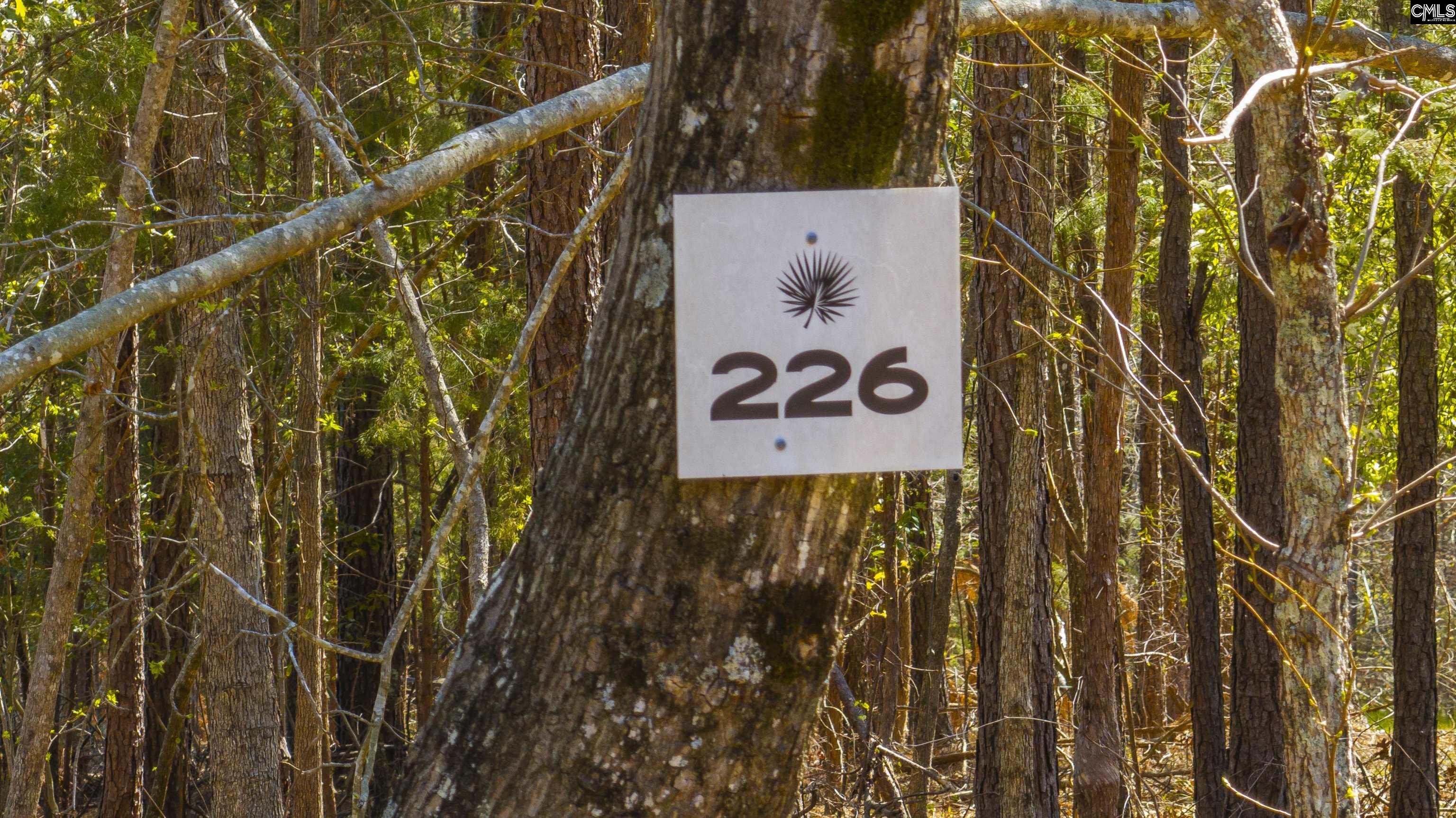 226 Granny Hill Road Prosperity, SC 29127 - Photo 27 of 42