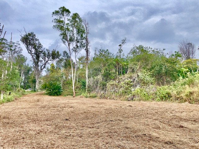 89-806 Lot 28 Huanui Road Captain Cook, HI 96704 - Photo 11 of 16 a view of a yard with plants and trees