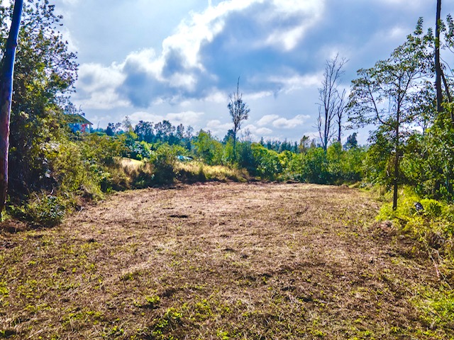 89-806 Lot 28 Huanui Road Captain Cook, HI 96704 - Photo 3 of 16 a view of a garden with a building