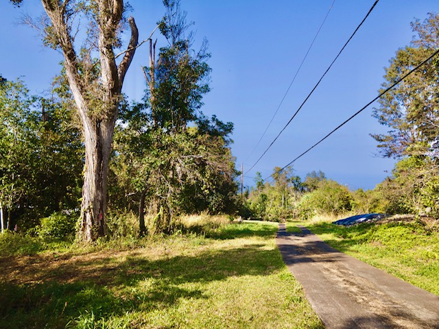 89-806 Lot 28 Huanui Road Captain Cook, HI 96704 - Photo 5 of 16 a view of a yard with plants